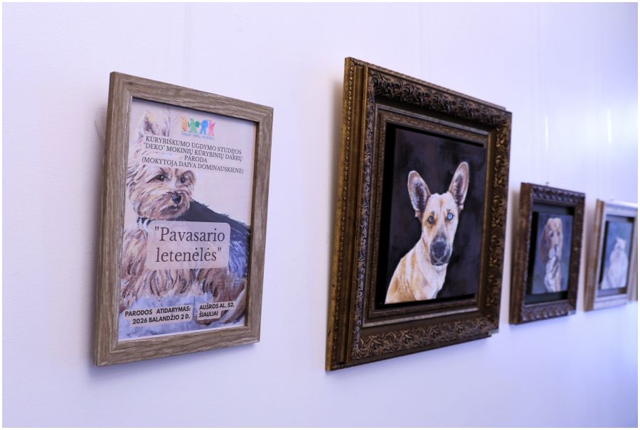 Paroda „Pavasario letenėlės“