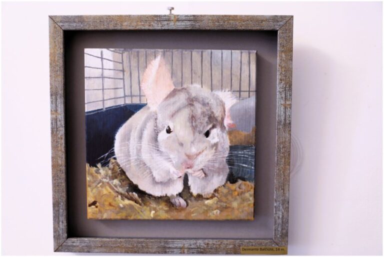 Paroda „Pavasario letenėlės“